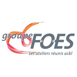 Logo Groupe Foes