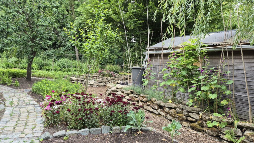 Jeunes jardiniers potager