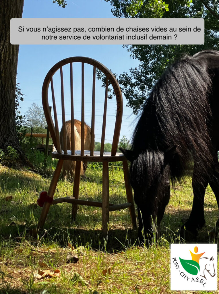 illustration de la campagne de la chaise vide