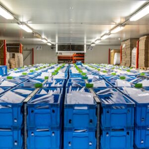 APAM - tri et mailing