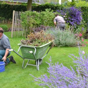Aménagement jardins - Les Jeunes Jardiniers