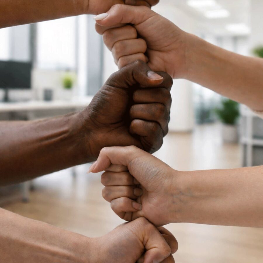 inclusion2