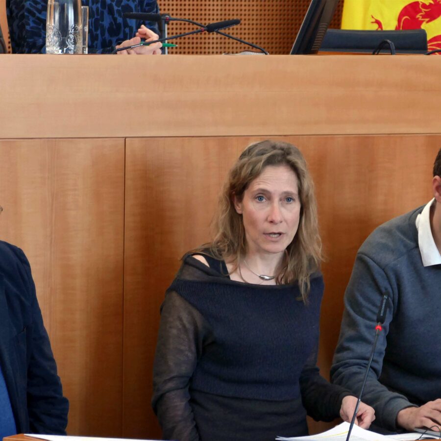 Marie Dedobbeleer directrice febrap